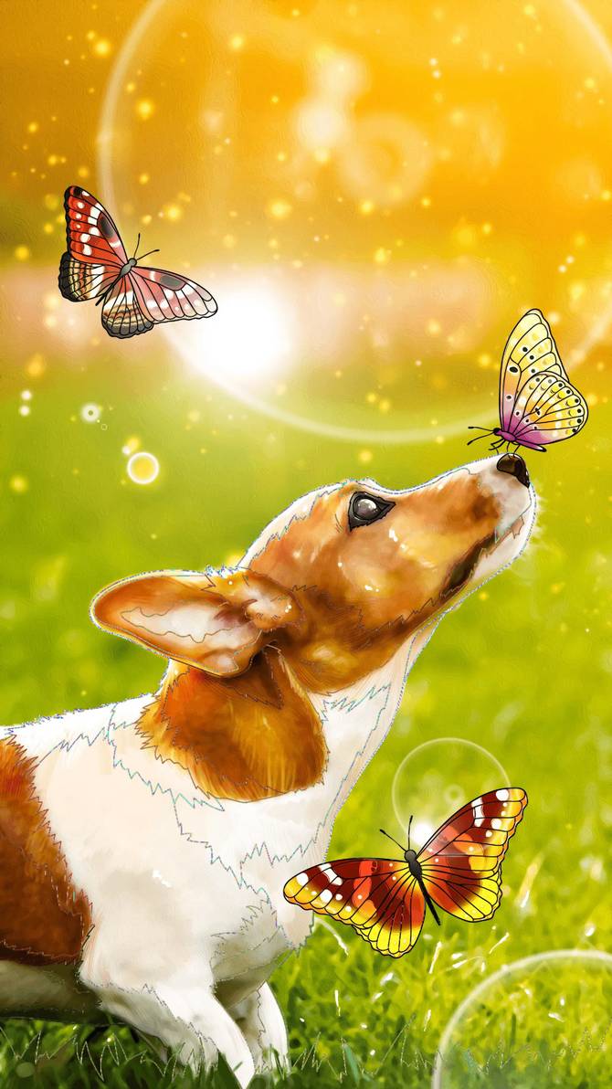Фото Собака породы вельш-корги и бабочки на размытом фоне, by catdragon4