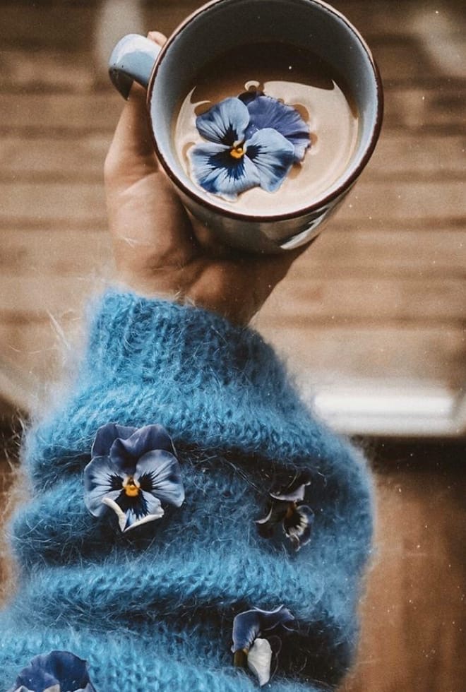 Фото Чашка кофе с цветком - анютины глазки в руке и на кофте девушки