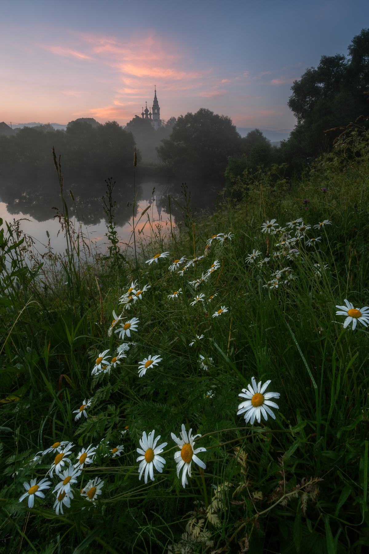 Фото Рассвет в Валищево, ромашки цветут у реки. Фотограф Мартыненко Дмитрий