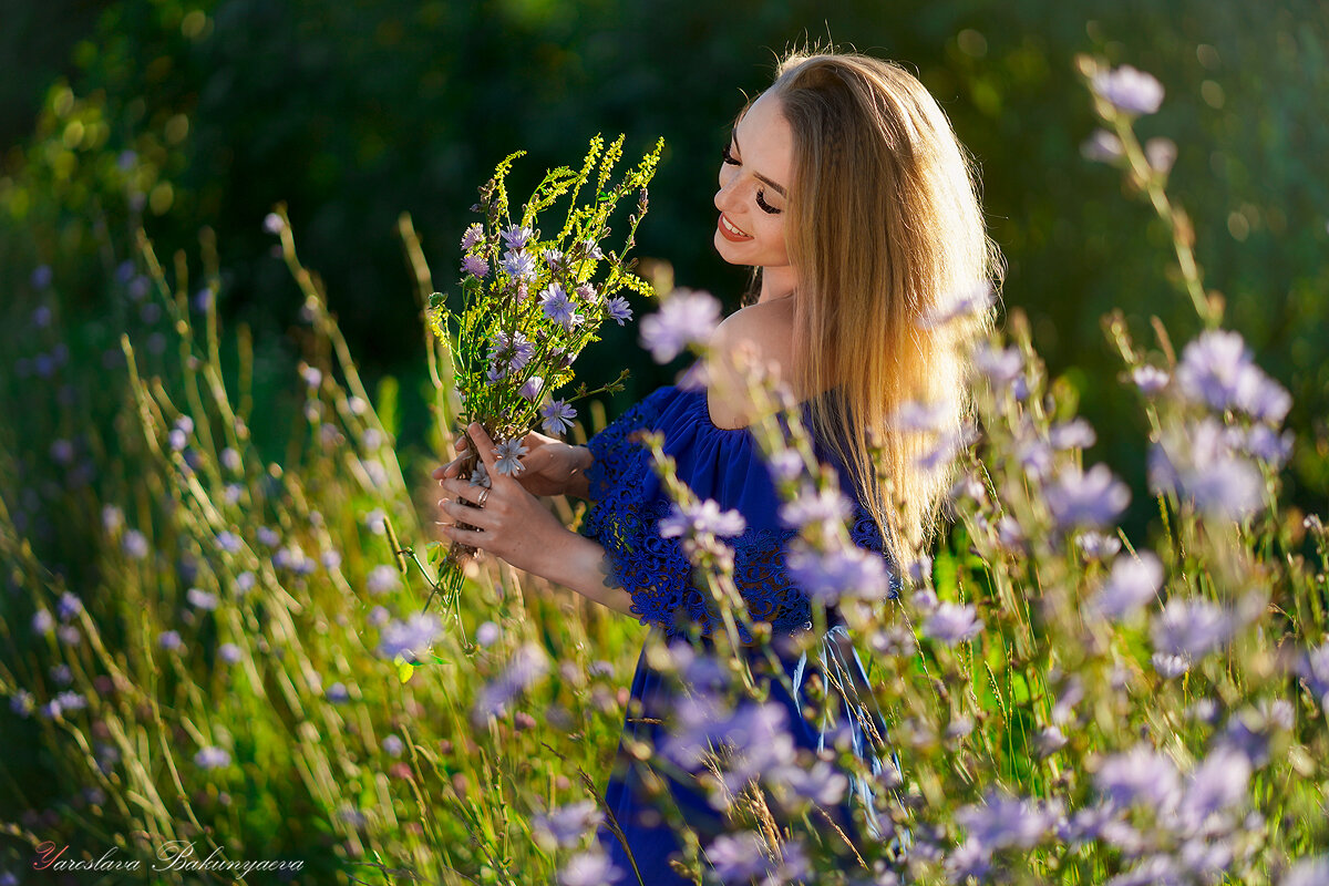 Фото Девушка Аня в синем платье с букетом цикория. фотограф Ярослава Бакуняева