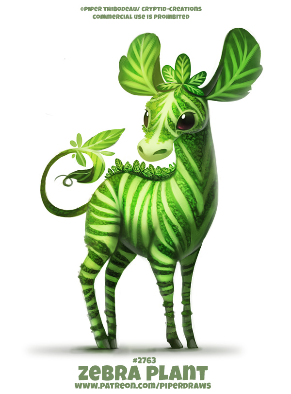 Фото Зеленая зебра на белом фоне (Zebra Plant), by Cryptid-Creations
