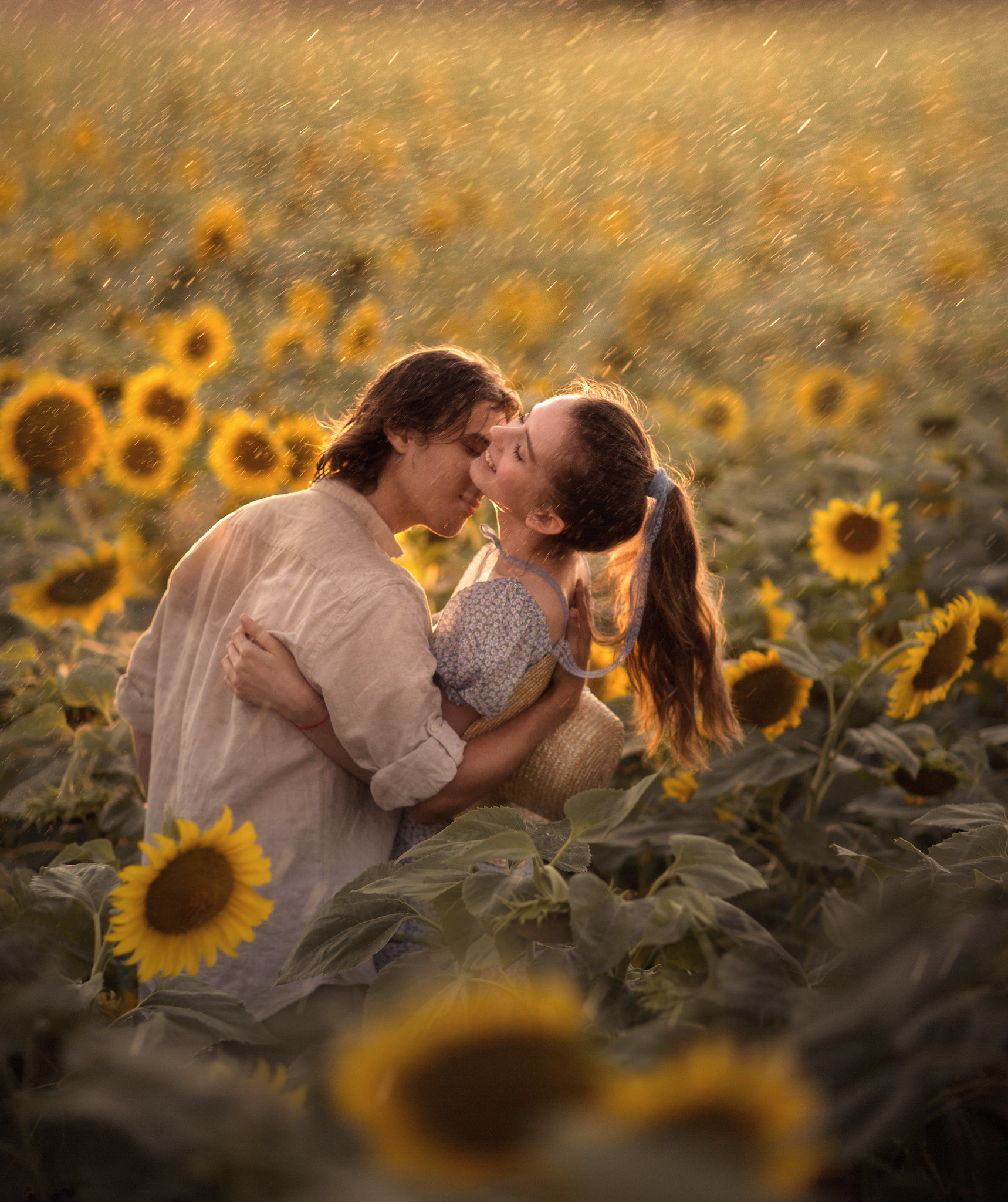 Фото Парень с девушкой на поле подсолнухов, фотограф Елена Шумилова