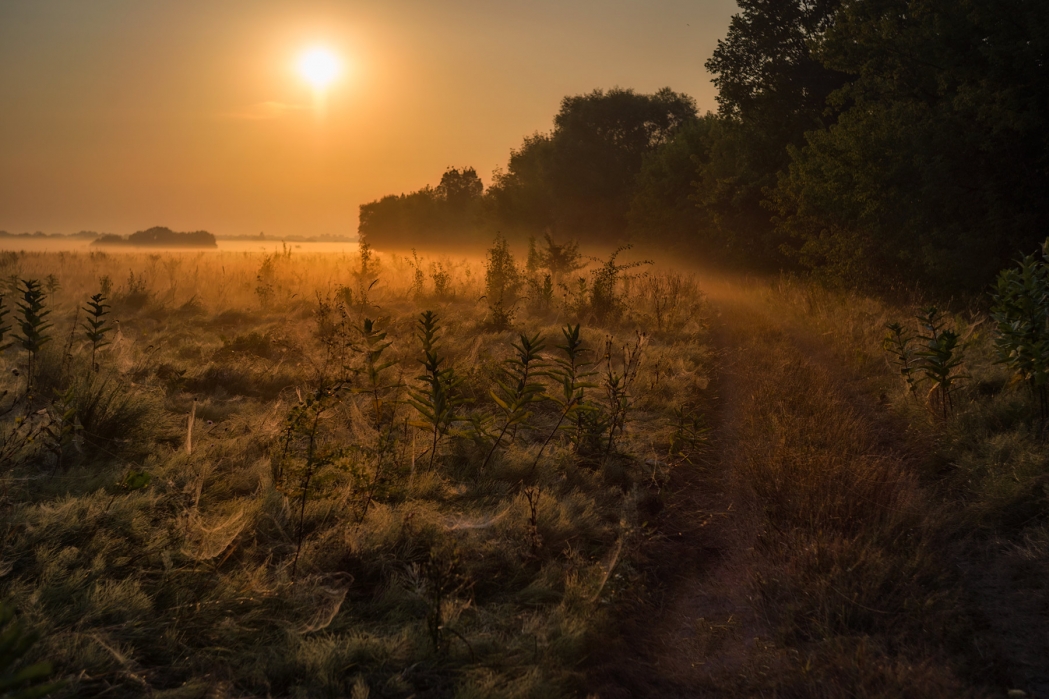 Фото Солнце освещает природу