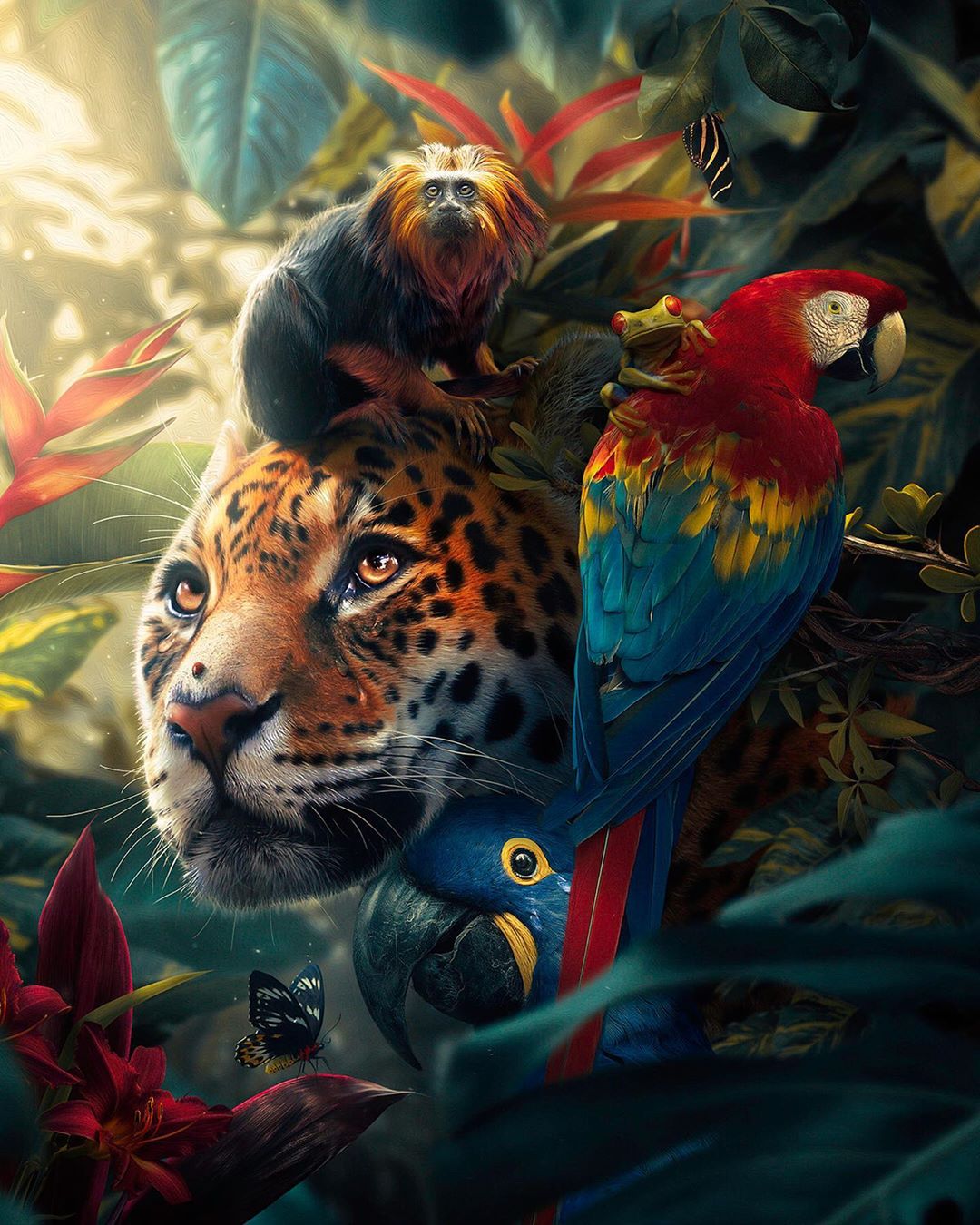 Фото Леопард, мартышка, попугаи, лягушка и бабочка среди тропической растительности, by joaocunico_