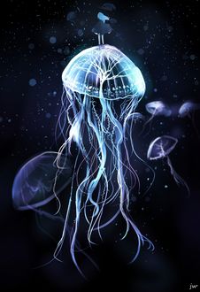 Фото Девочка стоит на медузе, by jw