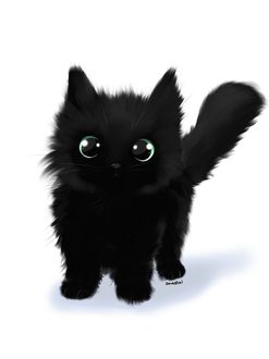 Черный кот на белом фоне