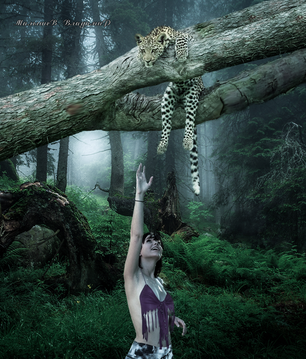Женщина с леопардами в лесу