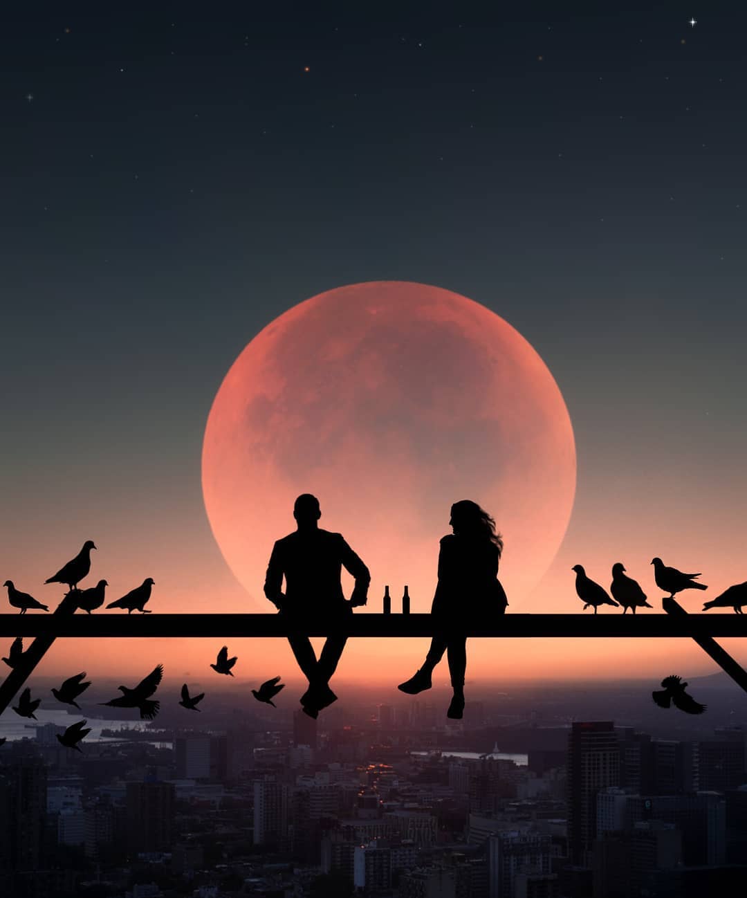 Фото Парень с девушка и птицы на фоне полной луны над городом, автор abdullah evindar