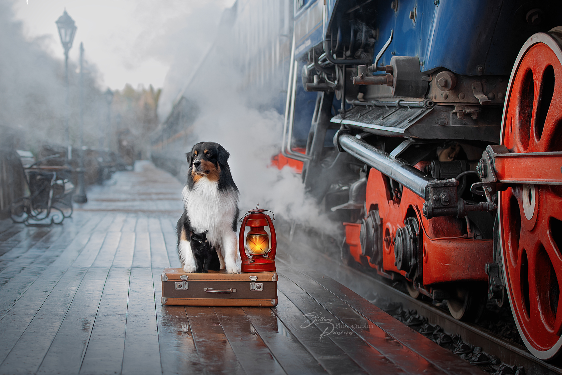 Фото Пес у чемодана с фонарем на железнодорожном вокзале, фотограф Писарева Светлана