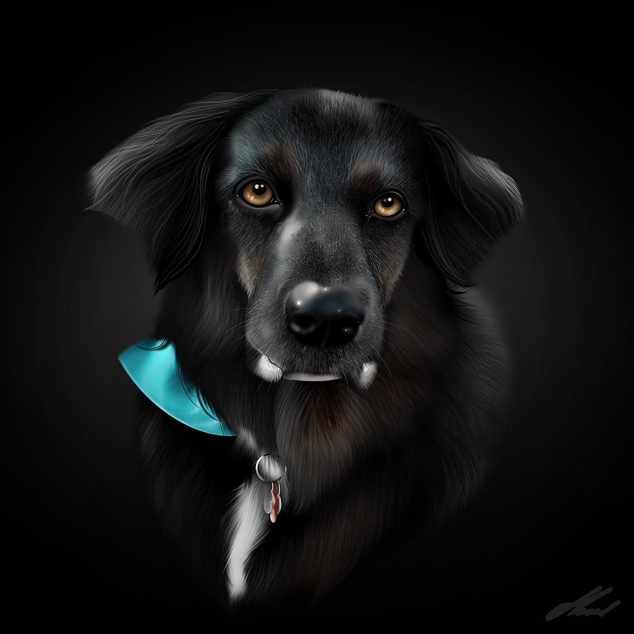Благородный черный пес. Янтарные глаза у собаки. Черная собака с янтарными глазами. Чёрная собака с оранжевыми глазами арт. Портрет черной собаки на ярком Звездном фоне.