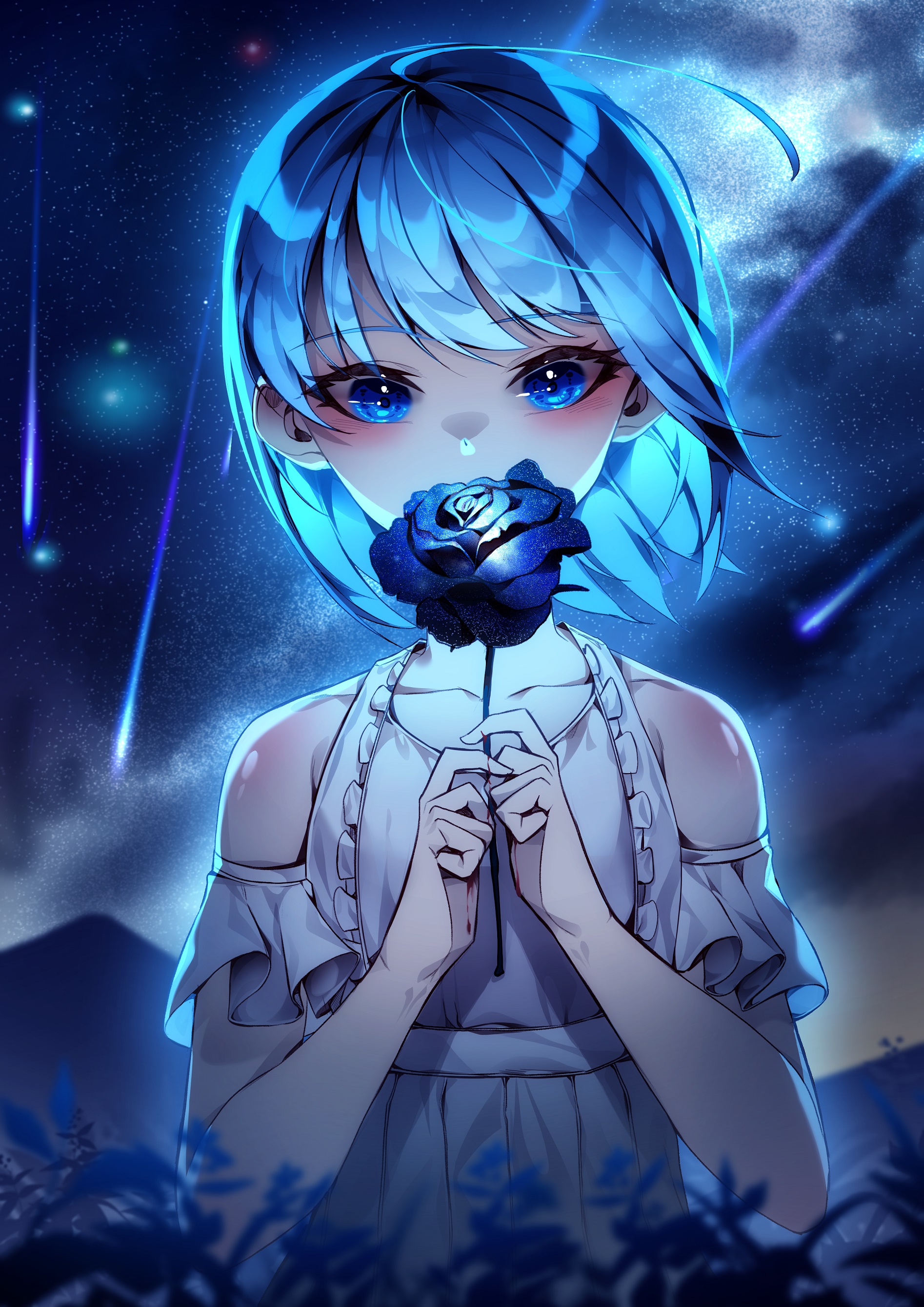 Фото Девочка с голубой розой в руках стоит на фоне ночного неба, автор hiya / lww3257