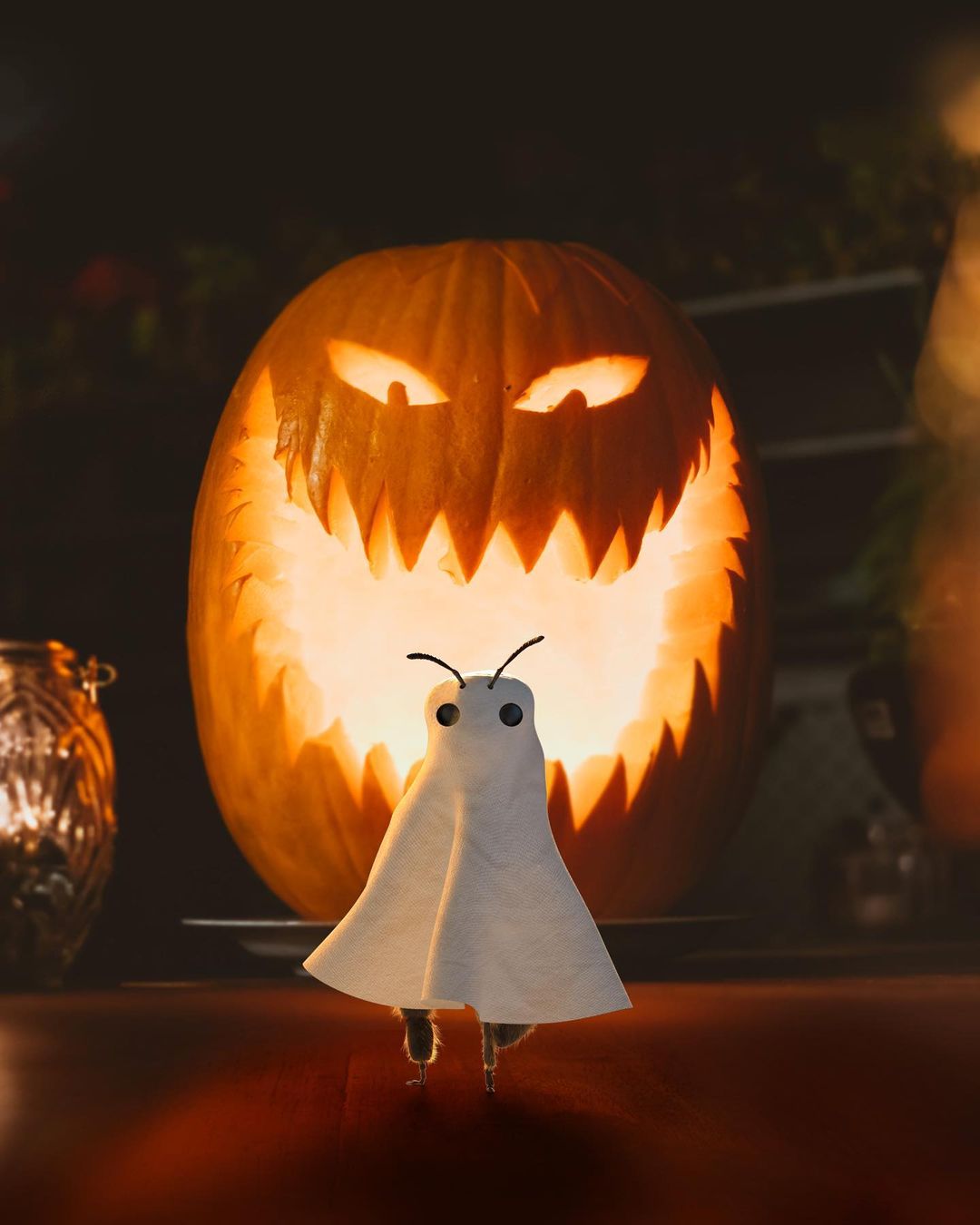 Фото Пчелка в костюме привидения на Хэллоуин, by bee_nfluencer
