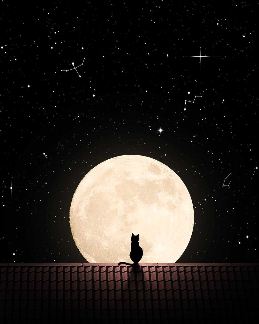 Фото Кошка сидит на крыше дома на фоне полной луны, автор Gᴏᴋᴜʟ Rᴀᴊ - gokurazs