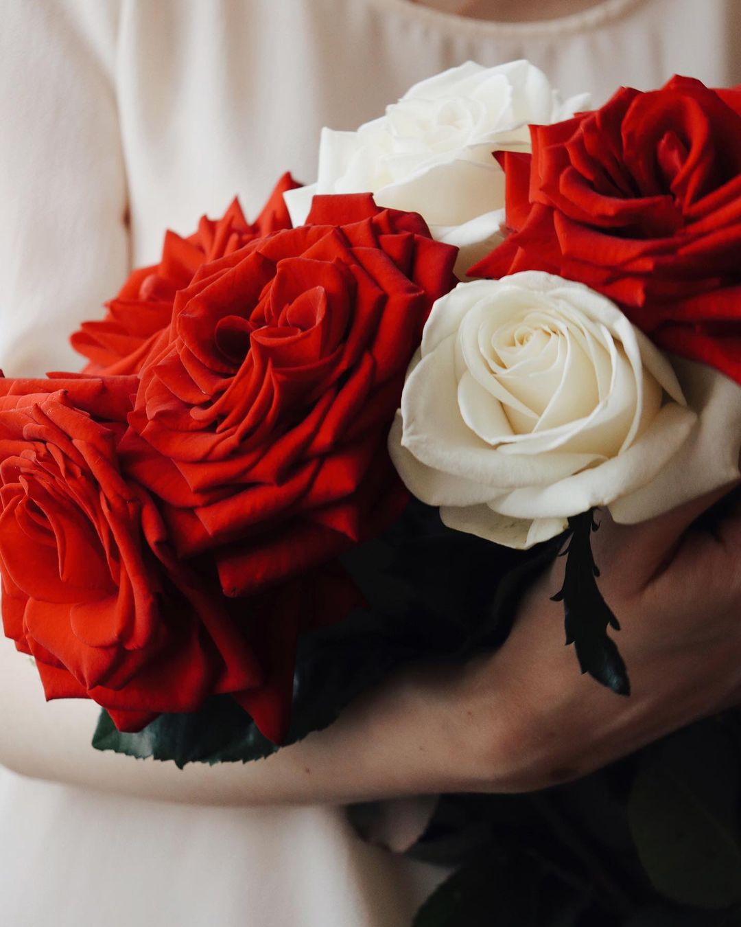 В руке школьница держит розы из 5 штук без лица