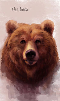 Фото Бурый медведь на розовом фоне (The bear / Медведь), by LKivihall