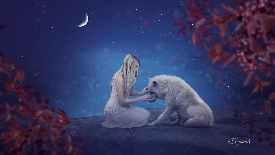 Фото Девушка сидит рядом с волком на фоне ночного неба с месяцем, by Elysekh