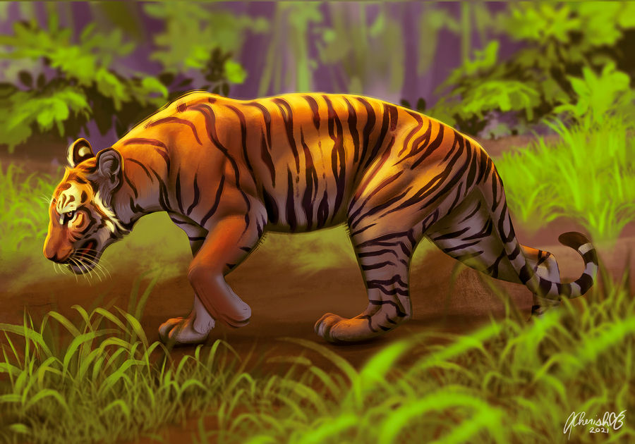 Фото Тигр на природе, by CherishLoveArt