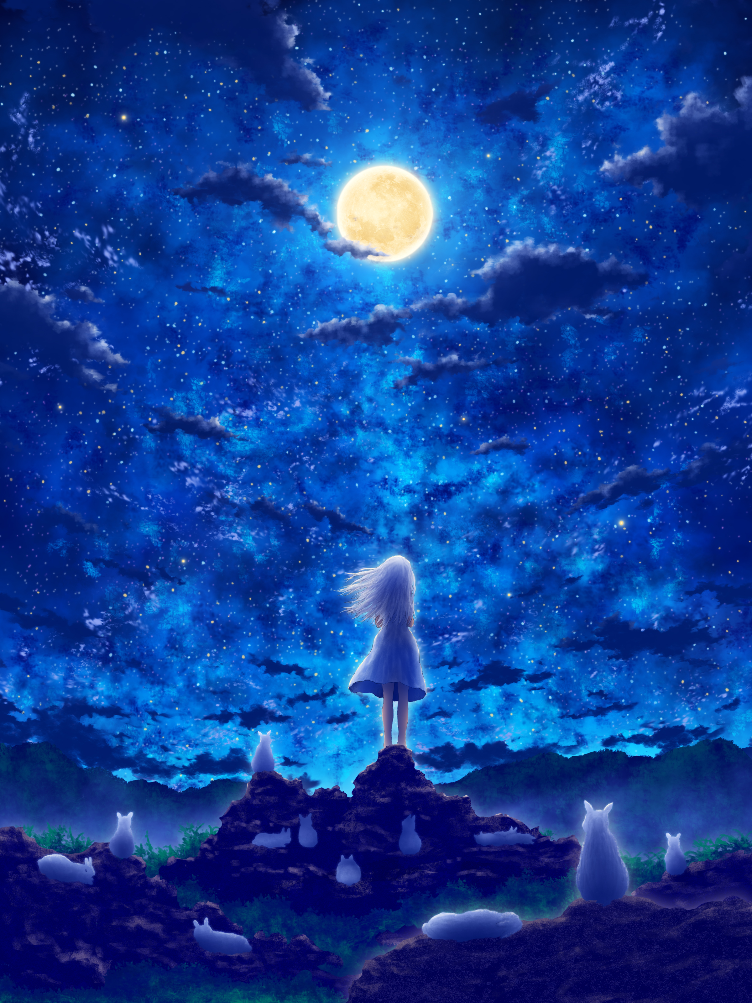 Фото Девочка и белые кролики смотрят на ночное небо