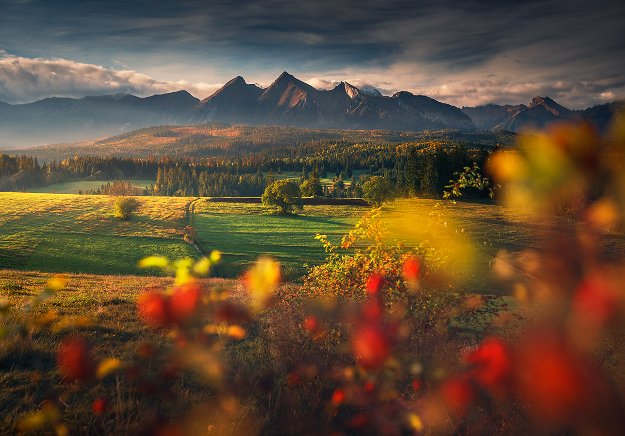 Фото Работа First Touch of Autumn / Первое прикосновение осени, Татры, фотограф Nienartowicz Karol