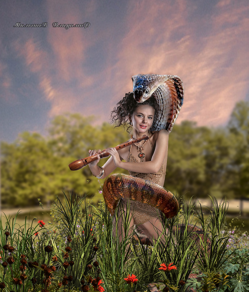 Фото Девушка играет для змеи на дудке, автор Владимир Малышев