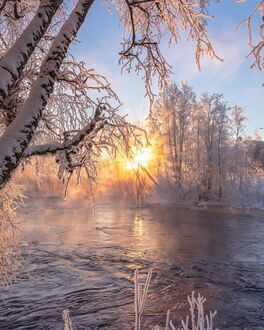 Фото Зимняя сказка природа