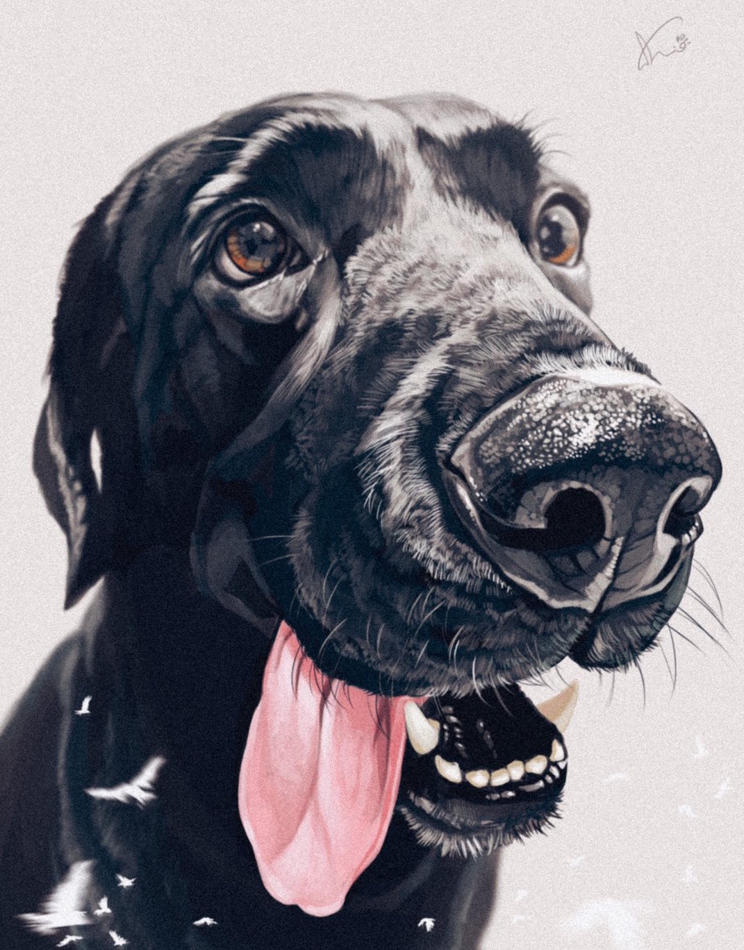 Фото Черный пес с высунутым языком на белом фоне