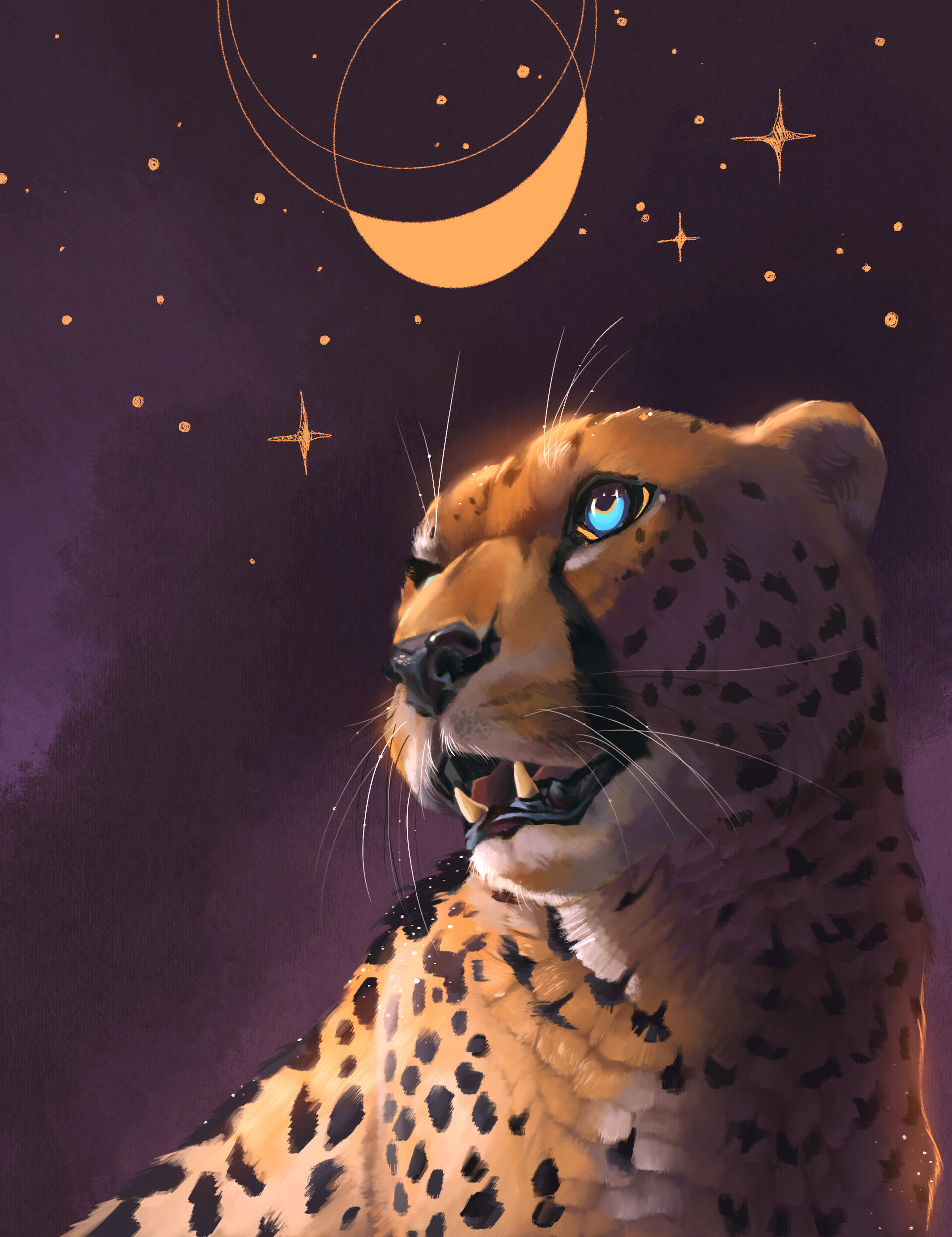 Фото Голубоглазый леопард стоит на фоне ночного неба со звездами и месяцем