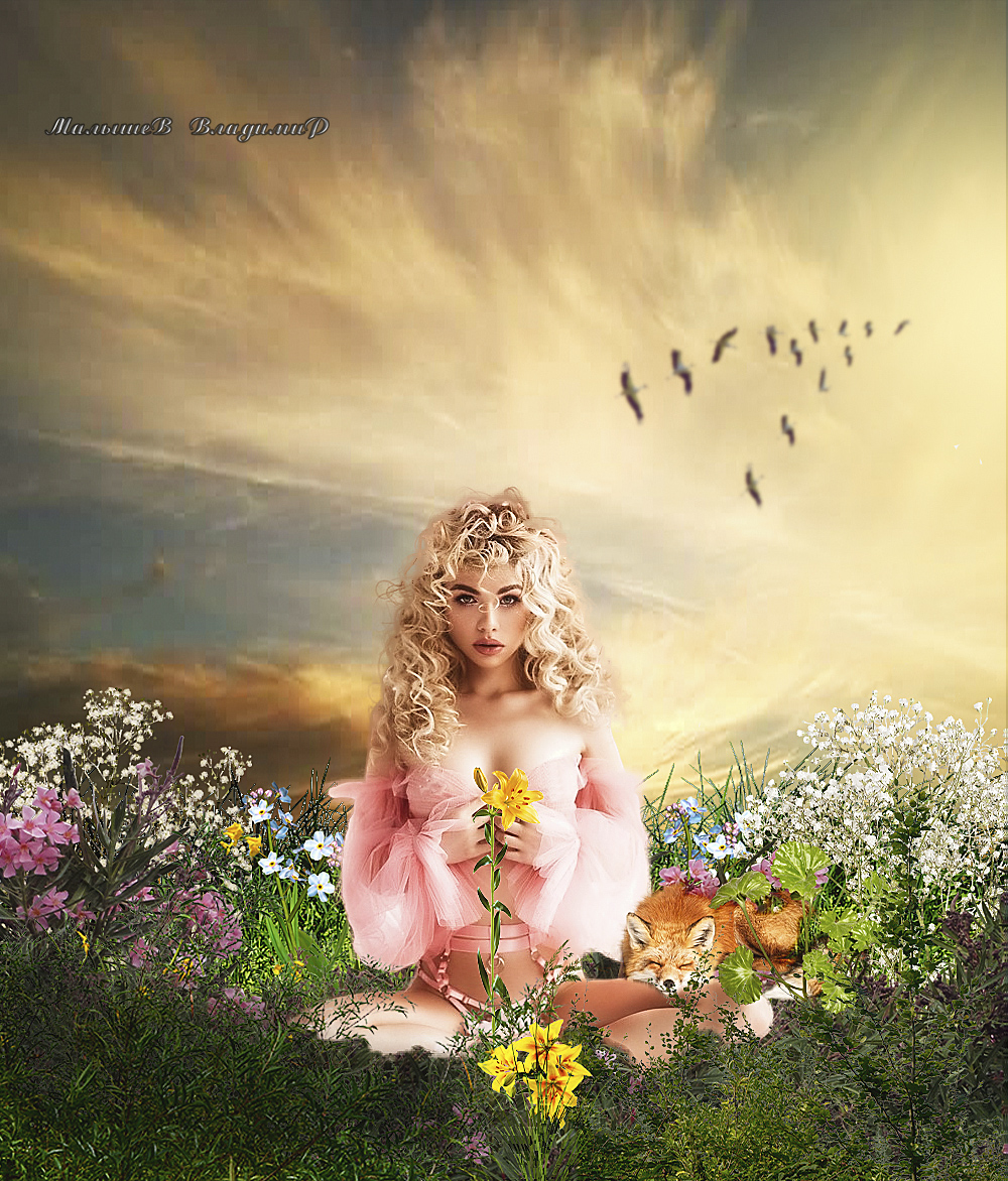 Фото Девушка сидит среди цветов с лисой на коленке