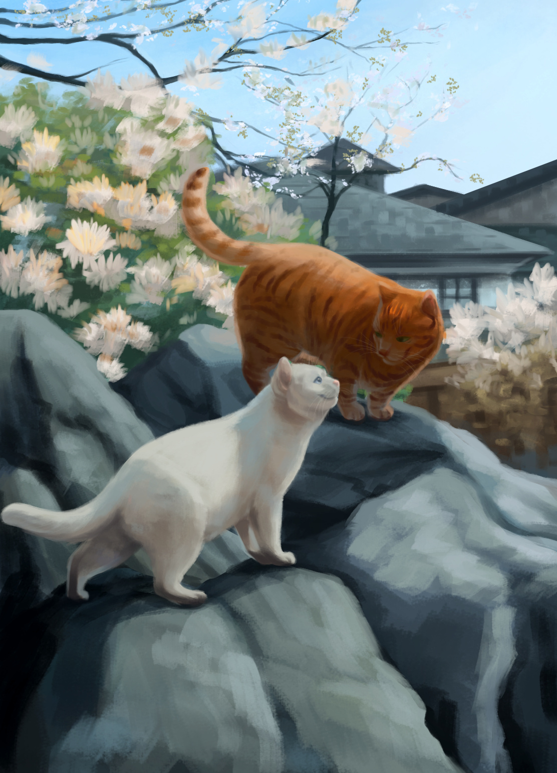 Фото Белый и рыжий коты стоят на камне у цветущего куста