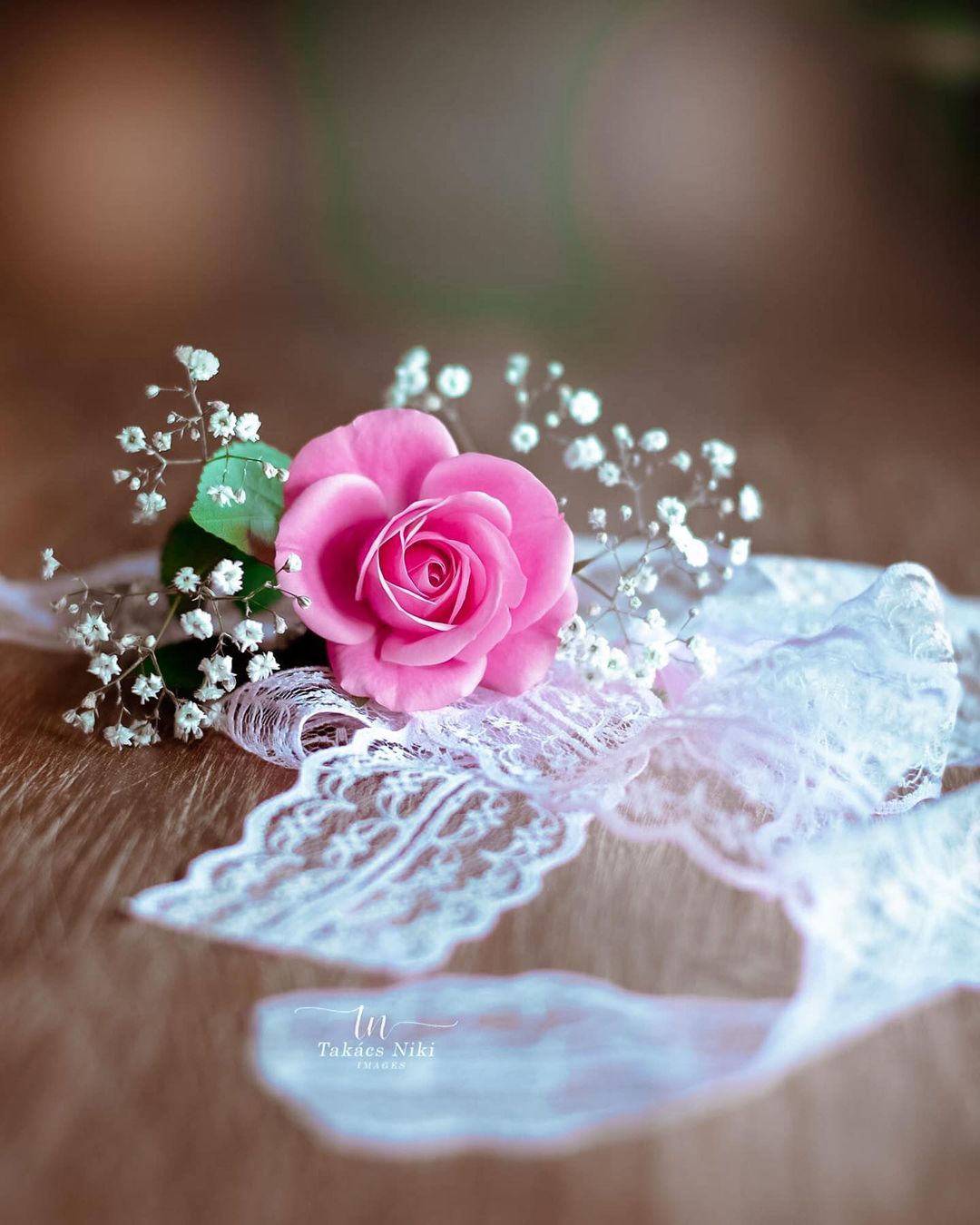Фото Розовая роза и мелкие белые цветы на кружевах