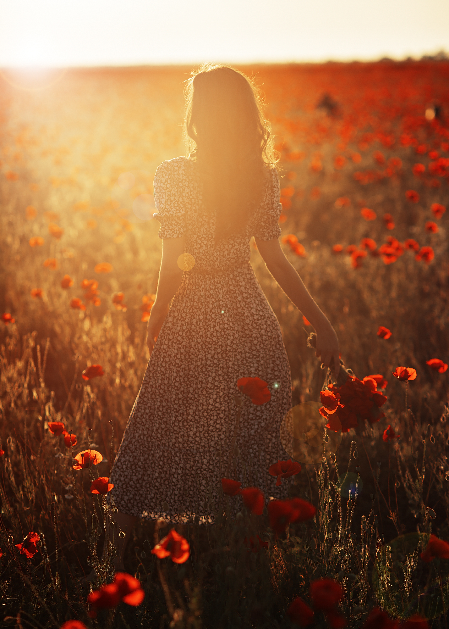 Фото Девушка стоит на маковом поле