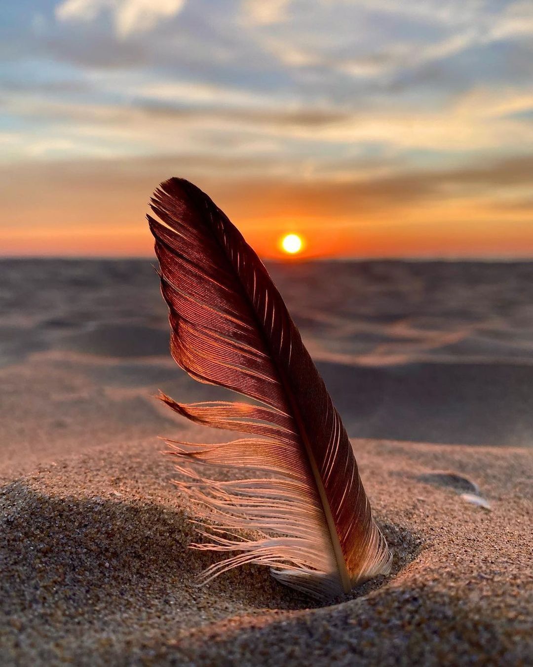 Фото Перо в песке на фоне заката солнца