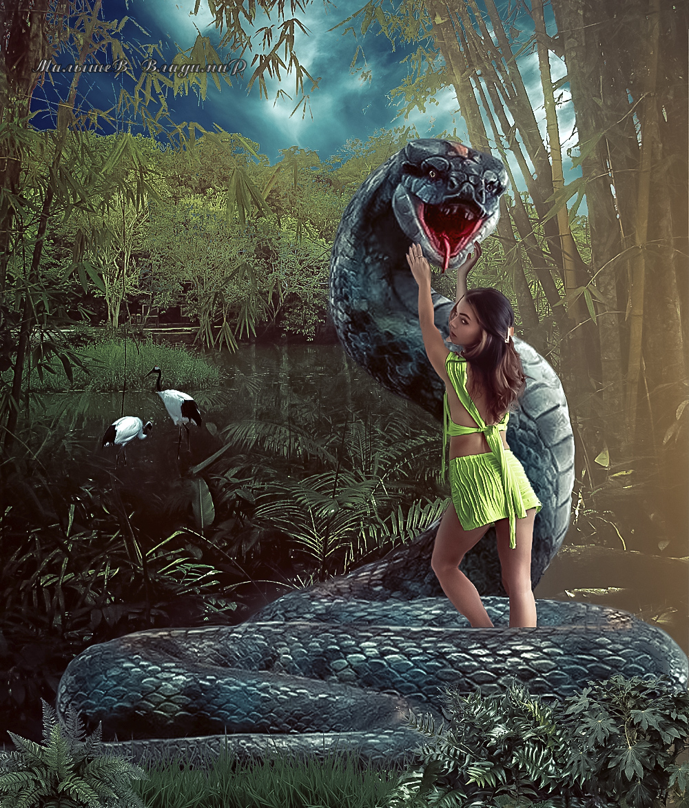 Фото Девушка в лесу успокаивает большого змея