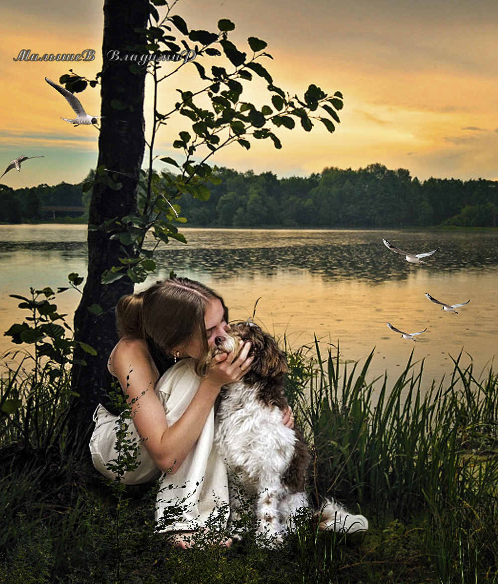 Фото Девушка целует собаку на берегу реки