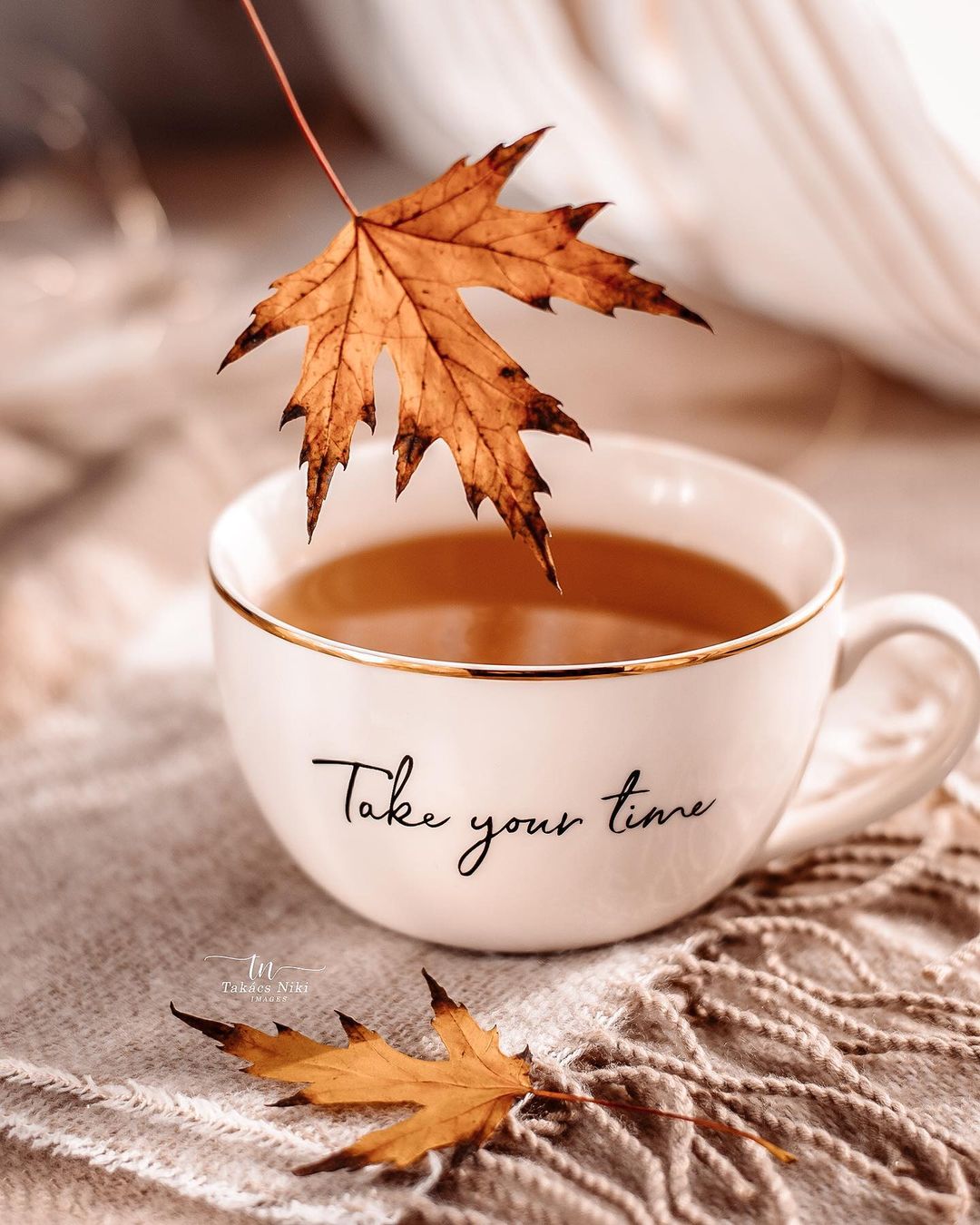 Фото Осенний кленовый листик над чашкой чая (Tare your time / это ваше время)