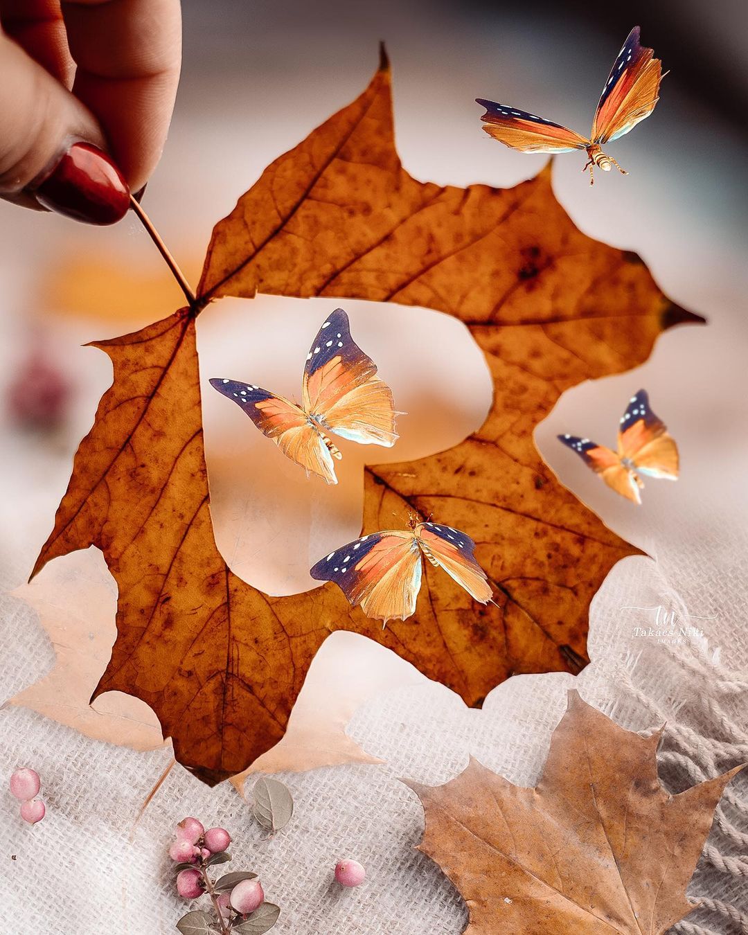 Фото В руке девушки осенний кленовый листок с сердечком среди бабочек