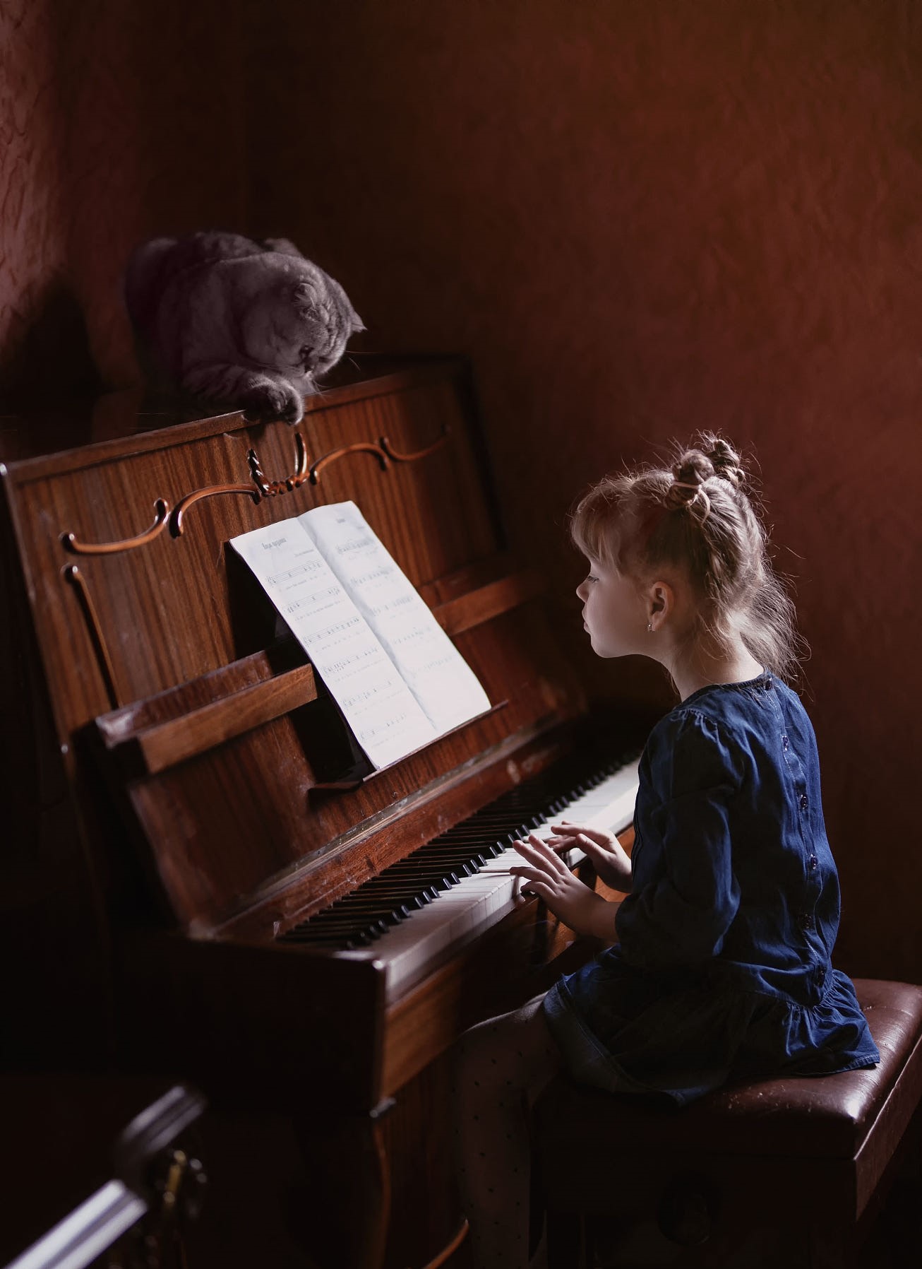 Фото Девочка играет на пианино, на котором лежит кот