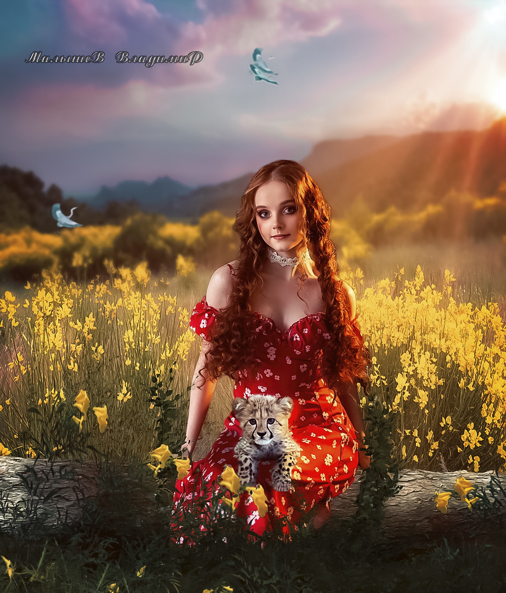Фото Девушка с котенком на коленях сидит на бревне в цветочном поле