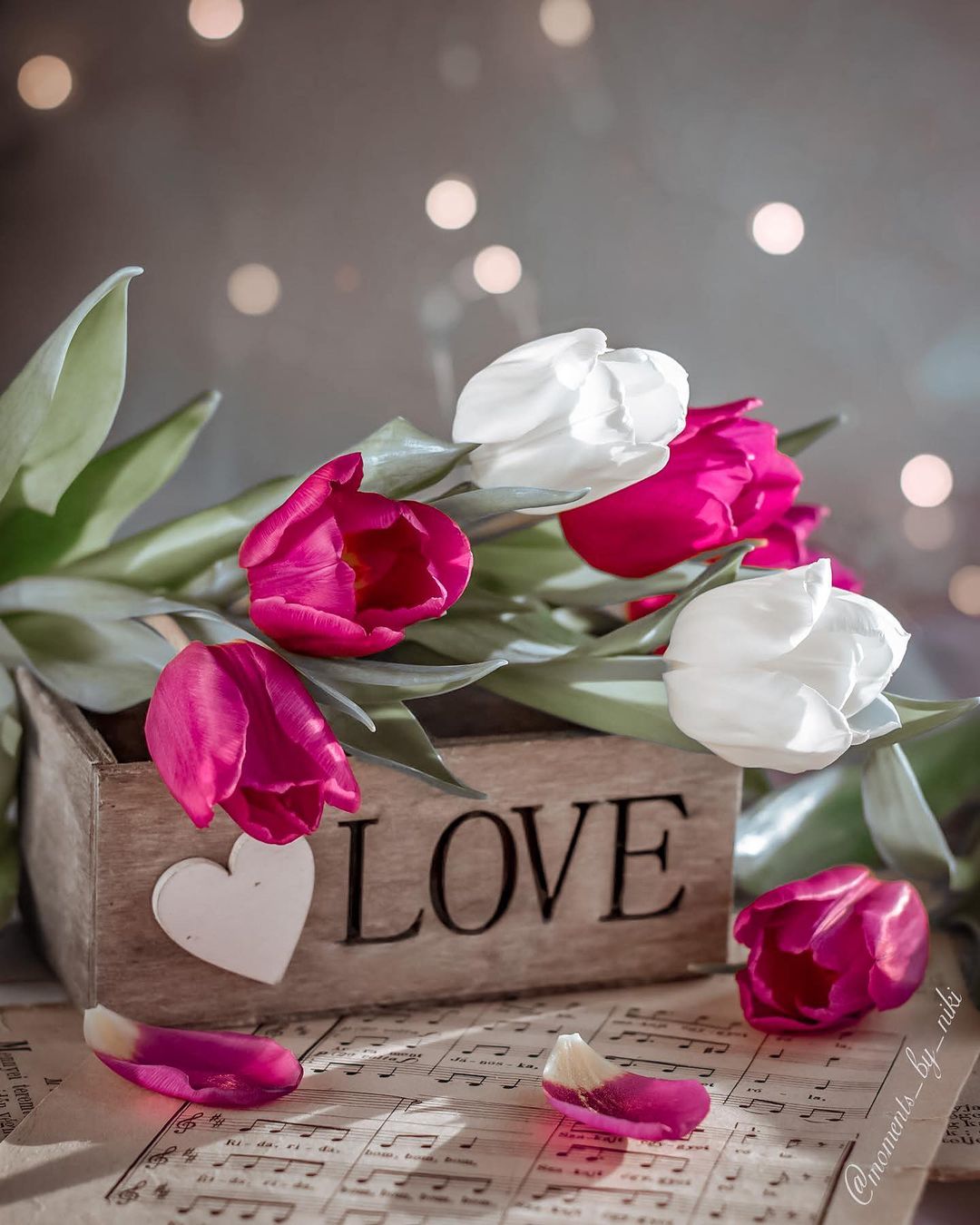 Фото Розовые и белые тюльпаны на коробе с надписью love / любовь