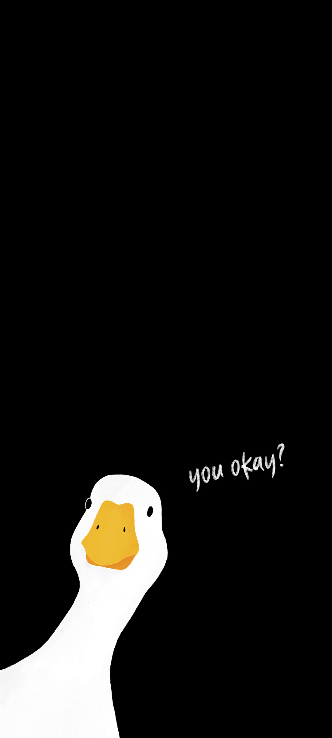 Фото Белая утка на черном фоне, смотрит на тебя и беспокоясь спрашивает: - you okay?