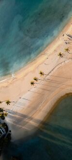 Фото Пляж Тангалле на Шри-Ланке с пальмами и морем. Вид сверху