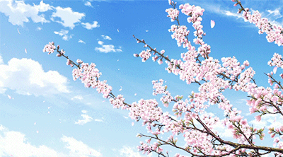 Анимация Весенние лепестки сакуры слетают с деревьев, гифка Весенние лепестки сакуры слетают с деревьев