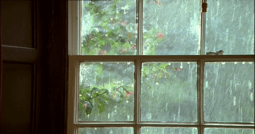 Анимация Дождь за окном и дерево, гифка