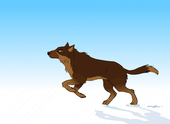 Анимация Волк, бегущий по снегу, гифка Волк, бегущий по снегу