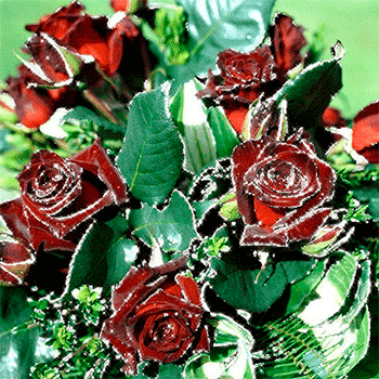 Анимация Красные розы с листьями, гифка Красные розы с листьями