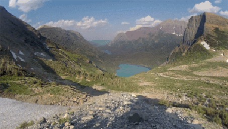 Анимация Сурок подбегает и заглядывает в камеру фотографа