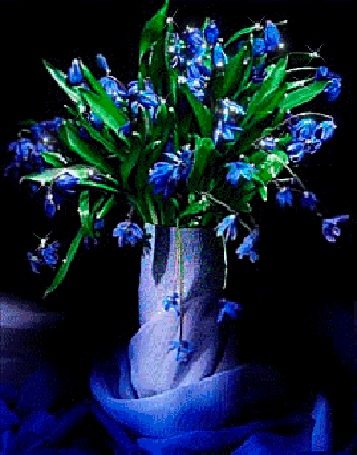 Анимация Букет синих подснежников с зелеными листьями находится в вазе, укутанной в голубую ткань