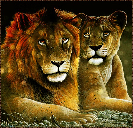 Картинки львов