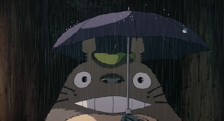 Анимация Тоторо / Totoro из аниме My Neighbor Totoro / Tonari no Totoro / Мой сосед Тоторо