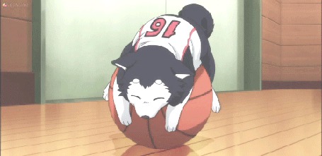 Анимация Щенок Куроко Тетсуи / Kuroko Tetsuya - Тэцуя № 2 / Tetsuya № 2 из аниме Баскетбол Куроко / Kuroko no Basuke